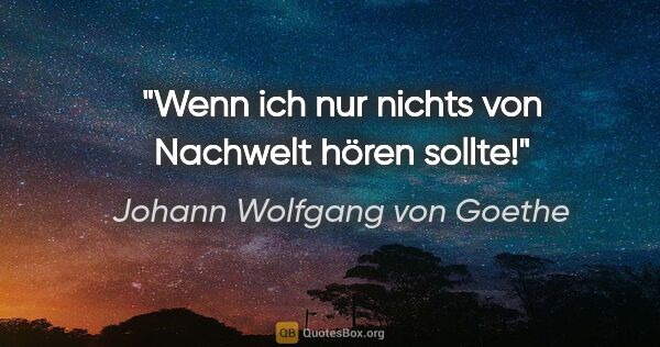 Johann Wolfgang von Goethe Zitat: "Wenn ich nur nichts von Nachwelt hören sollte!"