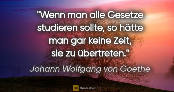 Johann Wolfgang von Goethe Zitat: "Wenn man alle Gesetze studieren sollte, so hätte man gar keine..."