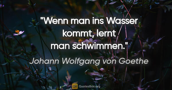Johann Wolfgang von Goethe Zitat: "Wenn man ins Wasser kommt, lernt man schwimmen."
