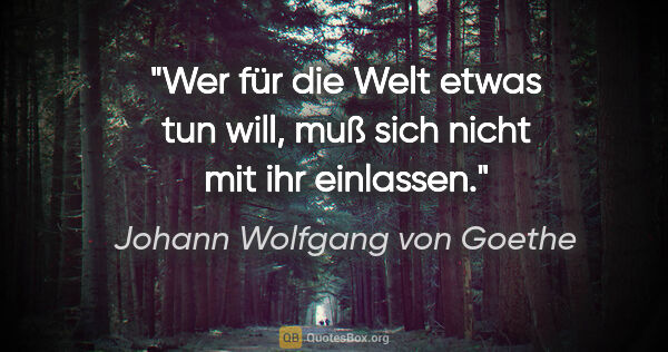 Johann Wolfgang von Goethe Zitat: "Wer für die Welt etwas tun will, muß sich nicht mit ihr..."