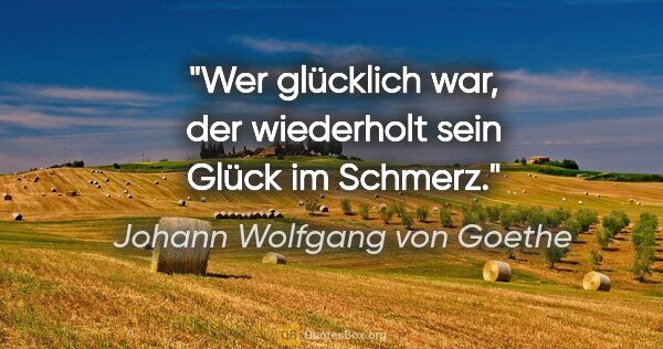 Johann Wolfgang von Goethe Zitat: "Wer glücklich war, der wiederholt sein Glück im Schmerz."