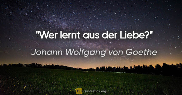 Johann Wolfgang von Goethe Zitat: "Wer lernt aus der Liebe?"