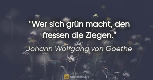 Johann Wolfgang von Goethe Zitat: "Wer sich grün macht, den fressen die Ziegen."