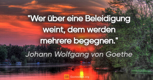 Johann Wolfgang von Goethe Zitat: "Wer über eine Beleidigung weint, dem werden mehrere begegnen."