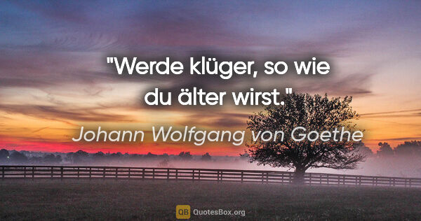 Johann Wolfgang von Goethe Zitat: "Werde klüger, so wie du älter wirst."