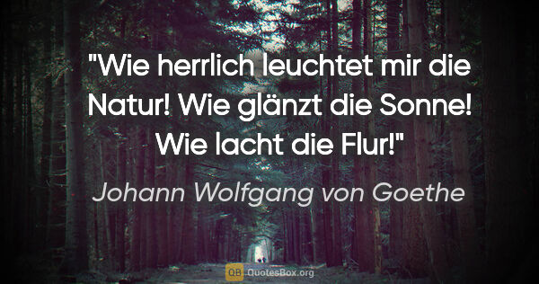 Johann Wolfgang von Goethe Zitat: "Wie herrlich leuchtet mir die Natur! Wie glänzt die Sonne! Wie..."