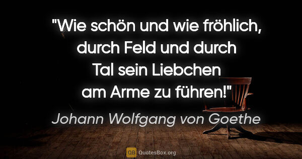 Johann Wolfgang von Goethe Zitat: "Wie schön und wie fröhlich, durch Feld und durch Tal sein..."