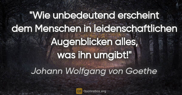 Johann Wolfgang von Goethe Zitat: "Wie unbedeutend erscheint dem Menschen in leidenschaftlichen..."