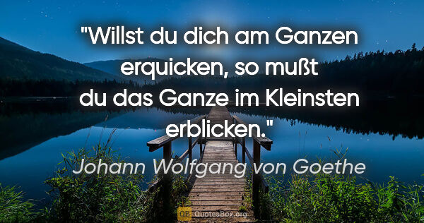 Johann Wolfgang von Goethe Zitat: "Willst du dich am Ganzen erquicken, so mußt du das Ganze im..."