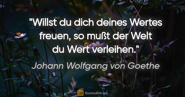 Johann Wolfgang von Goethe Zitat: "Willst du dich deines Wertes freuen, so mußt der Welt du Wert..."