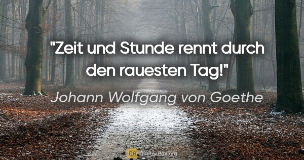 Johann Wolfgang von Goethe Zitat: "Zeit und Stunde rennt durch den rauesten Tag!"