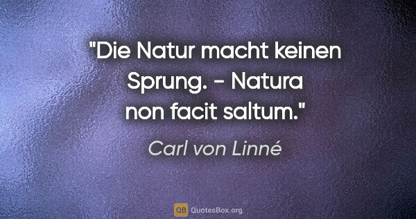 Carl von Linné Zitat: "Die Natur macht keinen Sprung. - Natura non facit saltum."