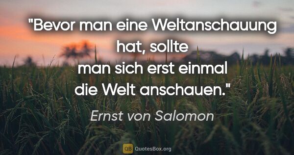 Ernst von Salomon Zitat: "Bevor man eine Weltanschauung hat, sollte man sich erst einmal..."