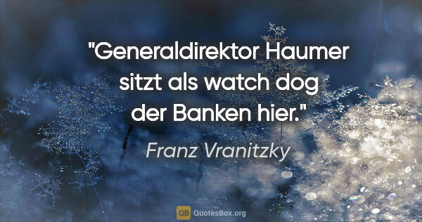 Franz Vranitzky Zitat: "Generaldirektor Haumer sitzt als watch dog der Banken hier."