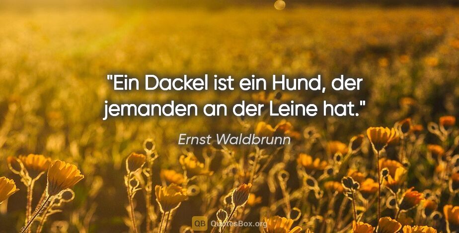 Ernst Waldbrunn Zitat: "Ein Dackel ist ein Hund, der jemanden an der Leine hat."