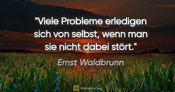 Ernst Waldbrunn Zitat: "Viele Probleme erledigen sich von selbst, wenn man sie nicht..."
