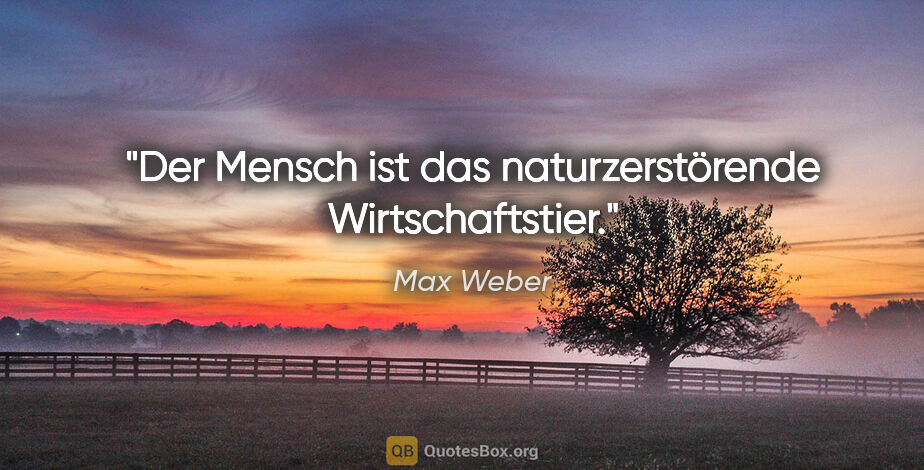 Max Weber Zitat: "Der Mensch ist das naturzerstörende Wirtschaftstier."