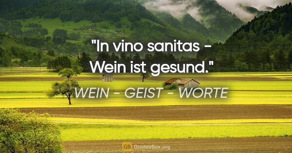 WEIN - GEIST - WORTE Zitat: "In vino sanitas - Wein ist gesund."