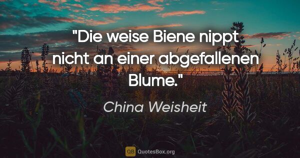 China Weisheit Zitat: "Die weise Biene nippt nicht an einer abgefallenen Blume."