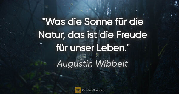 Augustin Wibbelt Zitat: "Was die Sonne für die Natur, das ist die Freude für unser Leben."