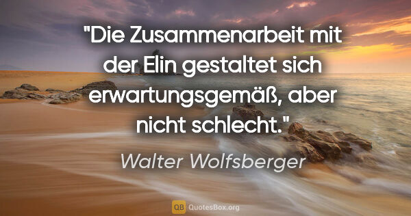 Walter Wolfsberger Zitat: "Die Zusammenarbeit mit der Elin gestaltet sich..."