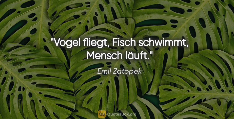 Emil Zatopek Zitat: "Vogel fliegt, Fisch schwimmt, Mensch läuft."