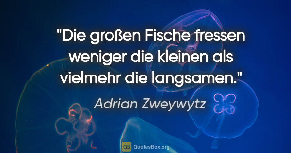Adrian Zweywytz Zitat: "Die großen Fische fressen weniger die kleinen als vielmehr die..."