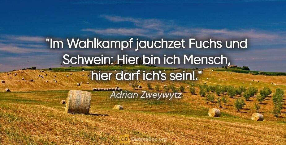 Adrian Zweywytz Zitat: "Im Wahlkampf jauchzet Fuchs und Schwein: "Hier bin ich Mensch,..."