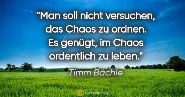Timm Bächle Zitat: "Man soll nicht versuchen, das Chaos zu ordnen. Es genügt, im..."
