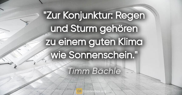 Timm Bächle Zitat: "Zur Konjunktur: Regen und Sturm gehören zu einem guten Klima..."