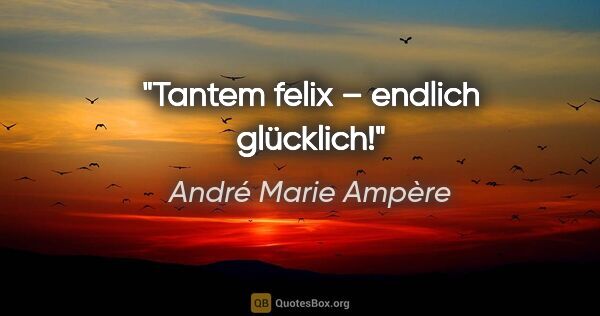 André Marie Ampère Zitat: "Tantem felix – endlich glücklich!"