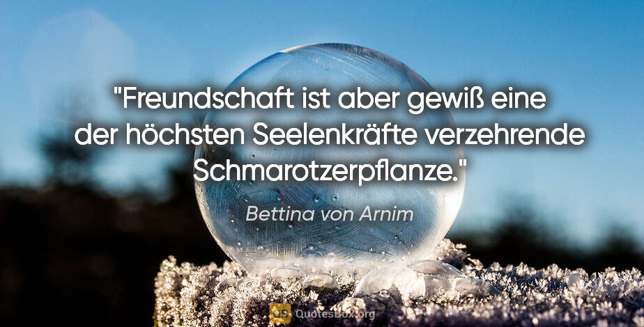 Bettina von Arnim Zitat: "Freundschaft ist aber gewiß eine der höchsten Seelenkräfte..."