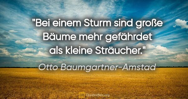 Otto Baumgartner-Amstad Zitat: "Bei einem Sturm sind große Bäume mehr gefährdet
als kleine..."