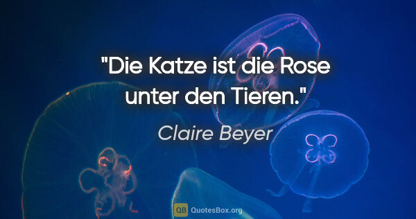 Claire Beyer Zitat: "Die Katze ist die Rose unter den Tieren."