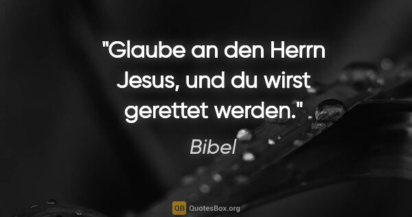 Bibel Zitat: "Glaube an den Herrn Jesus, und du wirst gerettet werden."