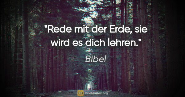 Bibel Zitat: "Rede mit der Erde, sie wird es dich lehren."