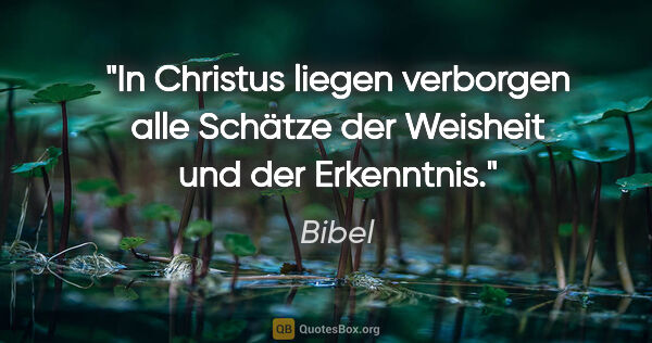 Bibel Zitat: "In Christus liegen verborgen alle Schätze der Weisheit und der..."