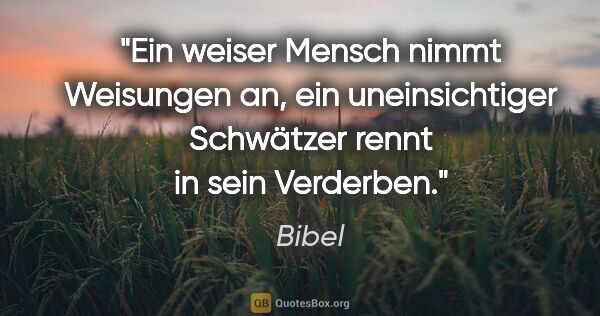 Bibel Zitat: "Ein weiser Mensch nimmt Weisungen an, ein uneinsichtiger..."