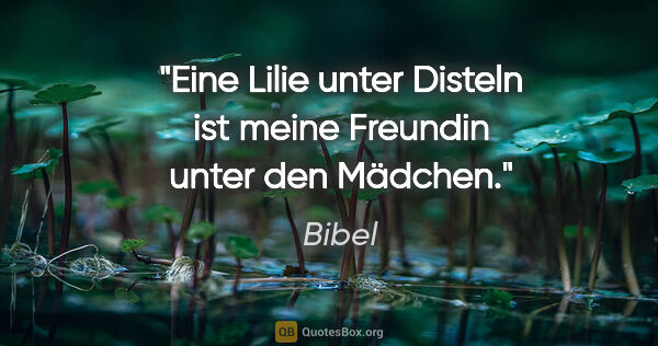 Bibel Zitat: "Eine Lilie unter Disteln ist meine Freundin unter den Mädchen."