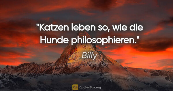 Billy Zitat: "Katzen leben so, wie die Hunde philosophieren."