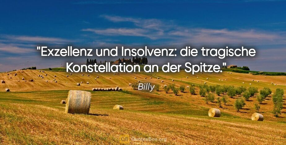 Billy Zitat: "Exzellenz und Insolvenz:
die tragische Konstellation an der..."