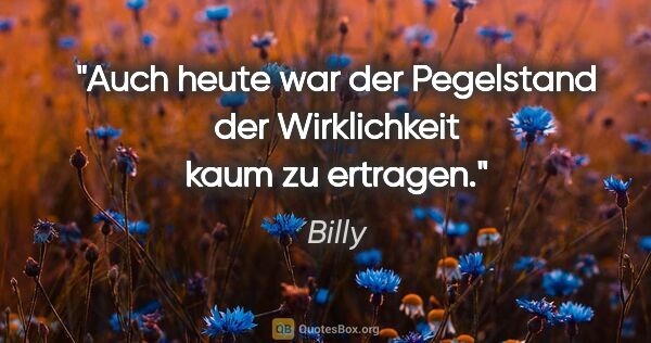 Billy Zitat: "Auch heute war der Pegelstand der Wirklichkeit kaum zu ertragen."