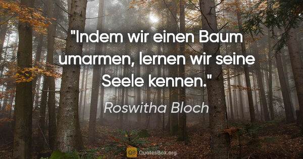 Roswitha Bloch Zitat: "Indem wir einen Baum umarmen,
lernen wir seine Seele kennen."