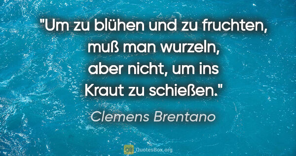 Clemens Brentano Zitat: "Um zu blühen und zu fruchten, muß man wurzeln, aber nicht, um..."