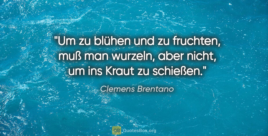Clemens Brentano Zitat: "Um zu blühen und zu fruchten, muß man wurzeln, aber nicht, um..."