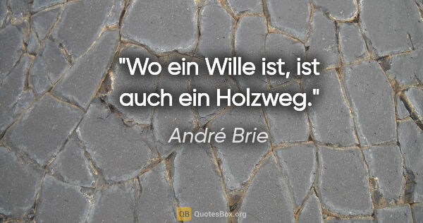 André Brie Zitat: "Wo ein Wille ist, ist auch ein Holzweg."