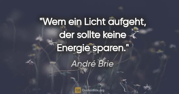 André Brie Zitat: "Wem ein Licht aufgeht, der sollte keine Energie sparen."