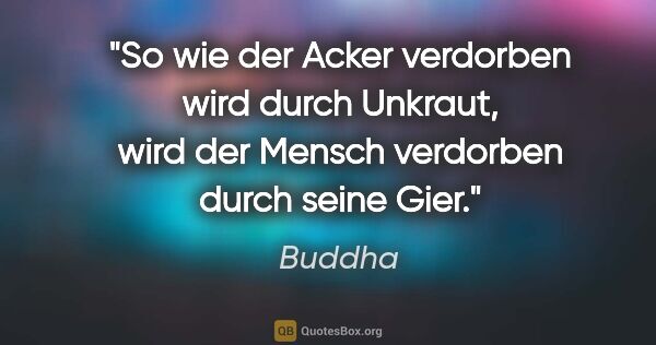 Buddha Zitat: "So wie der Acker verdorben wird durch Unkraut, wird der Mensch..."