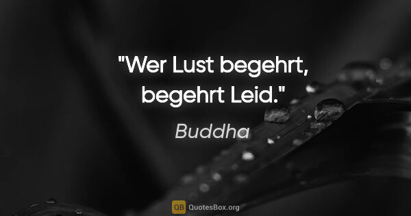 Buddha Zitat: "Wer Lust begehrt, begehrt Leid."