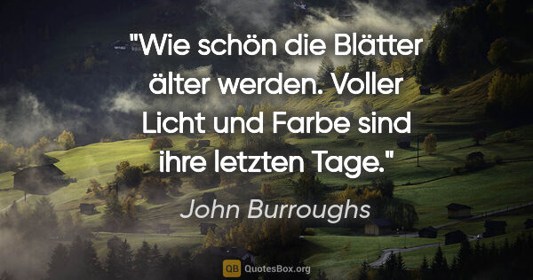 John Burroughs Zitat: "Wie schön die Blätter älter werden.
Voller Licht und Farbe..."